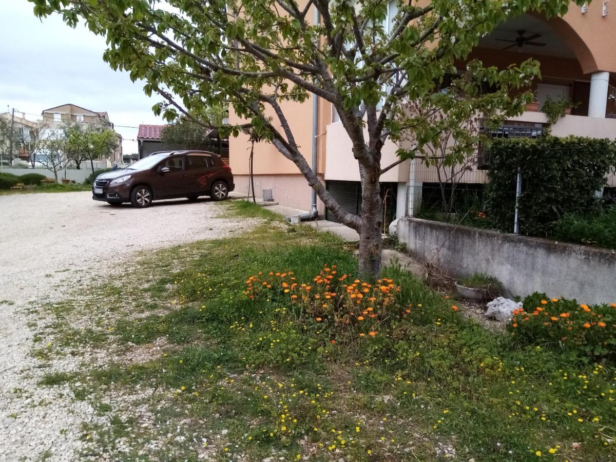 Apartments Vanja Skara Biograd Biograd na Moru Kültér fotó