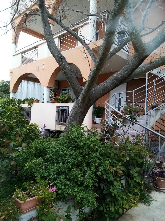 Apartments Vanja Skara Biograd Biograd na Moru Kültér fotó